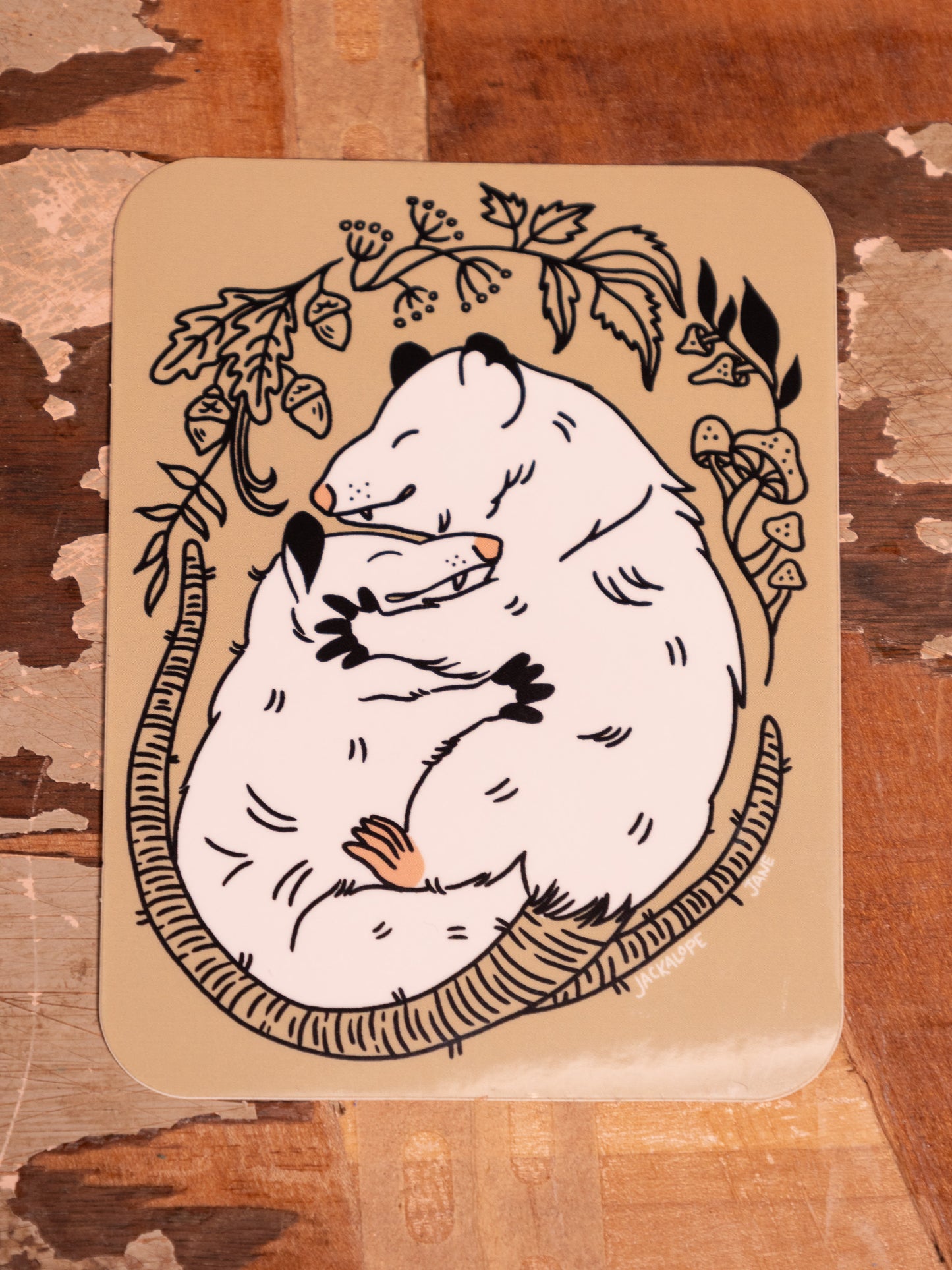 Snuggling Possum Band Sticker