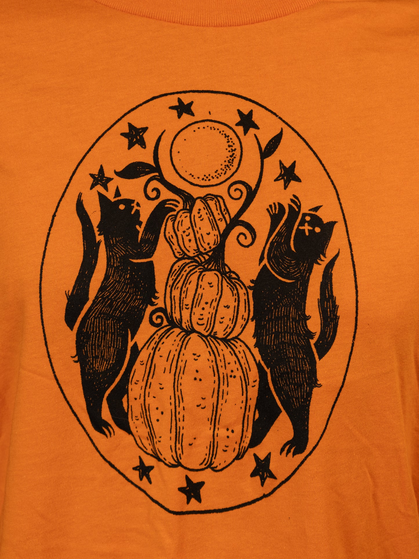 Autumn's Eve Cats T-Shirt in Candy Corn Orange