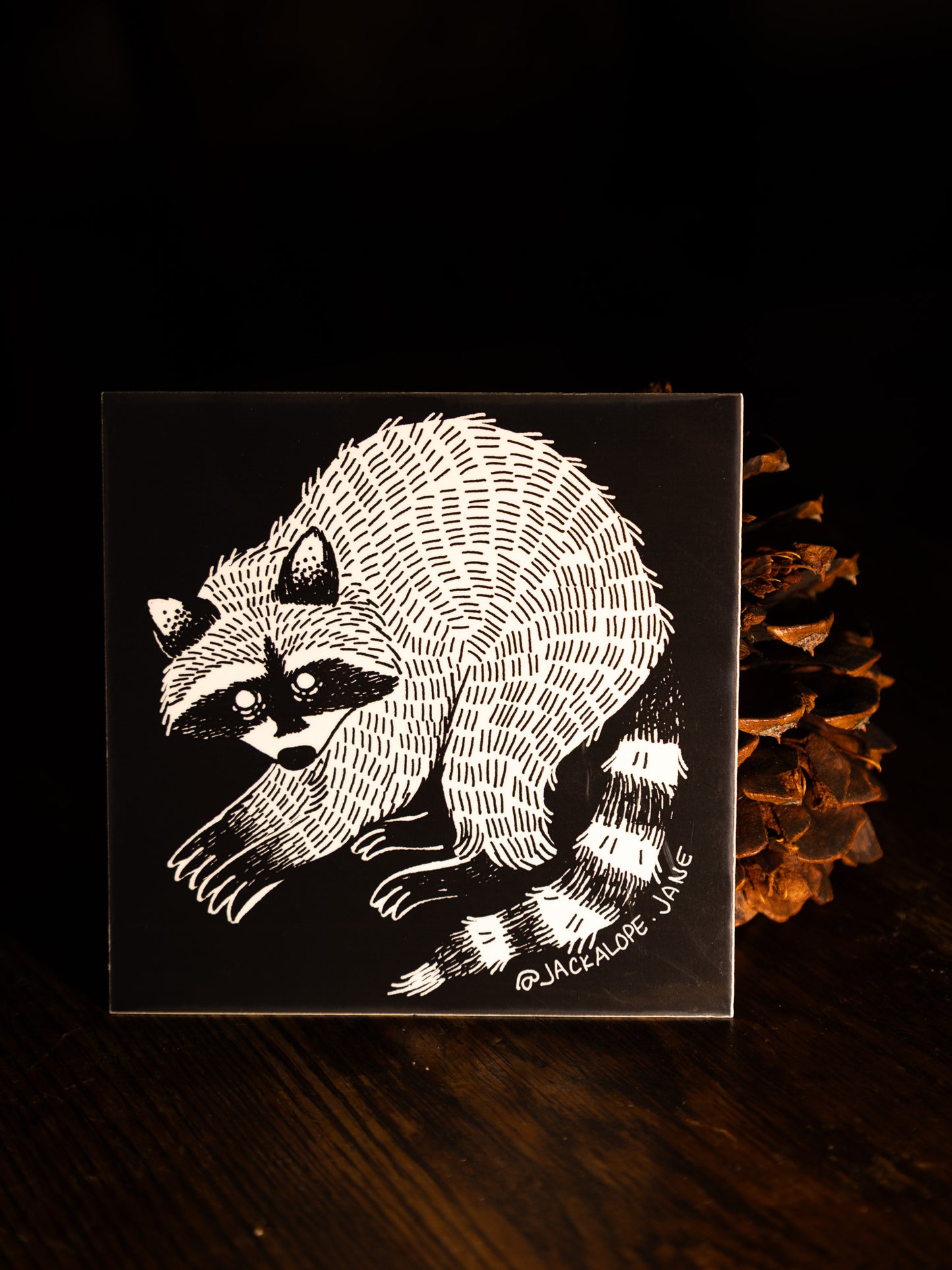 Raccoon Sticker