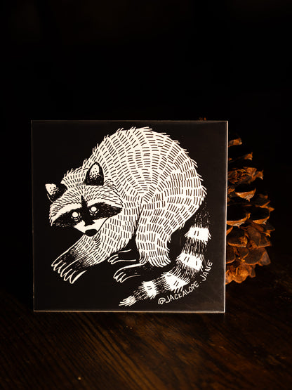 Raccoon Sticker