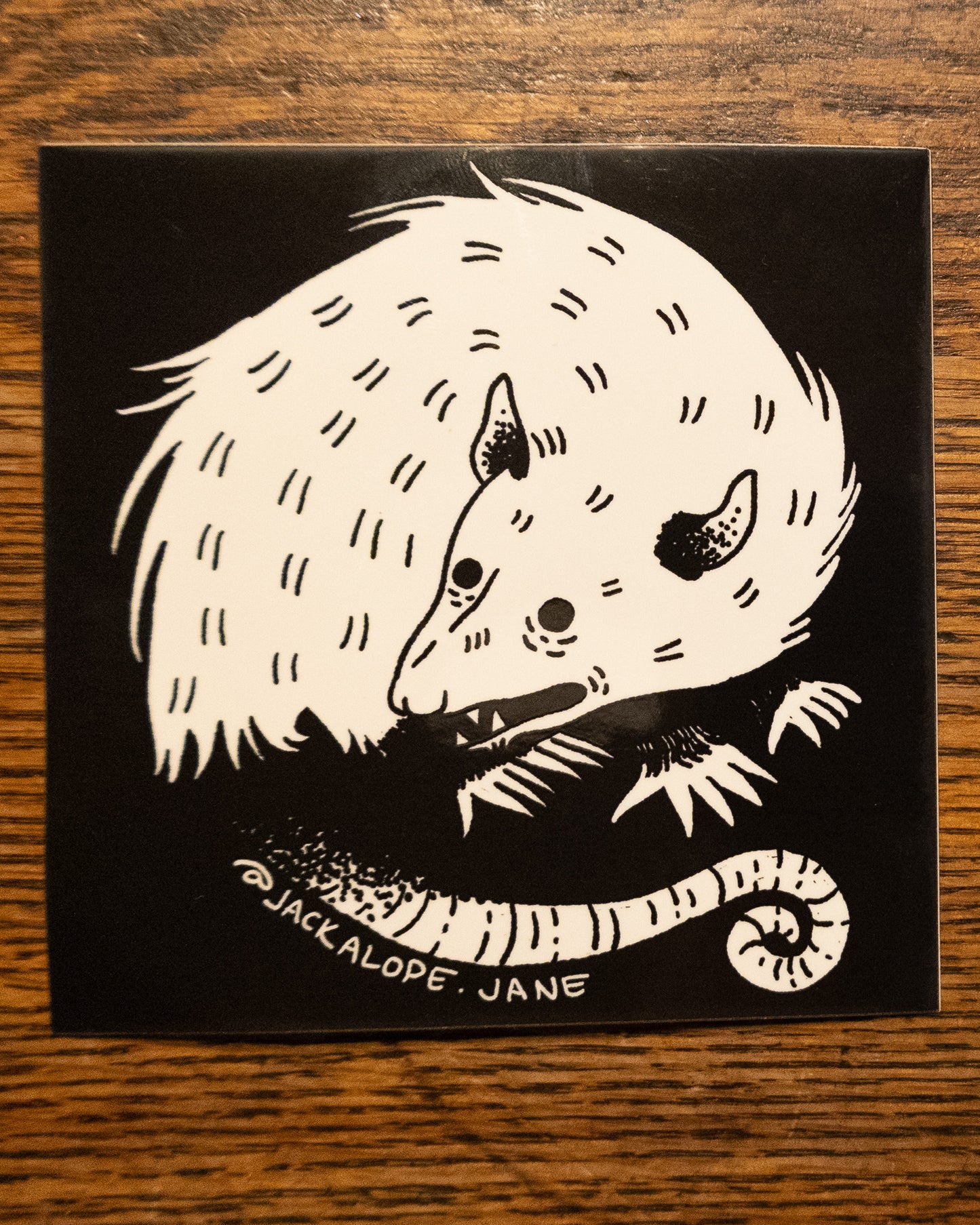 Opossum Sticker