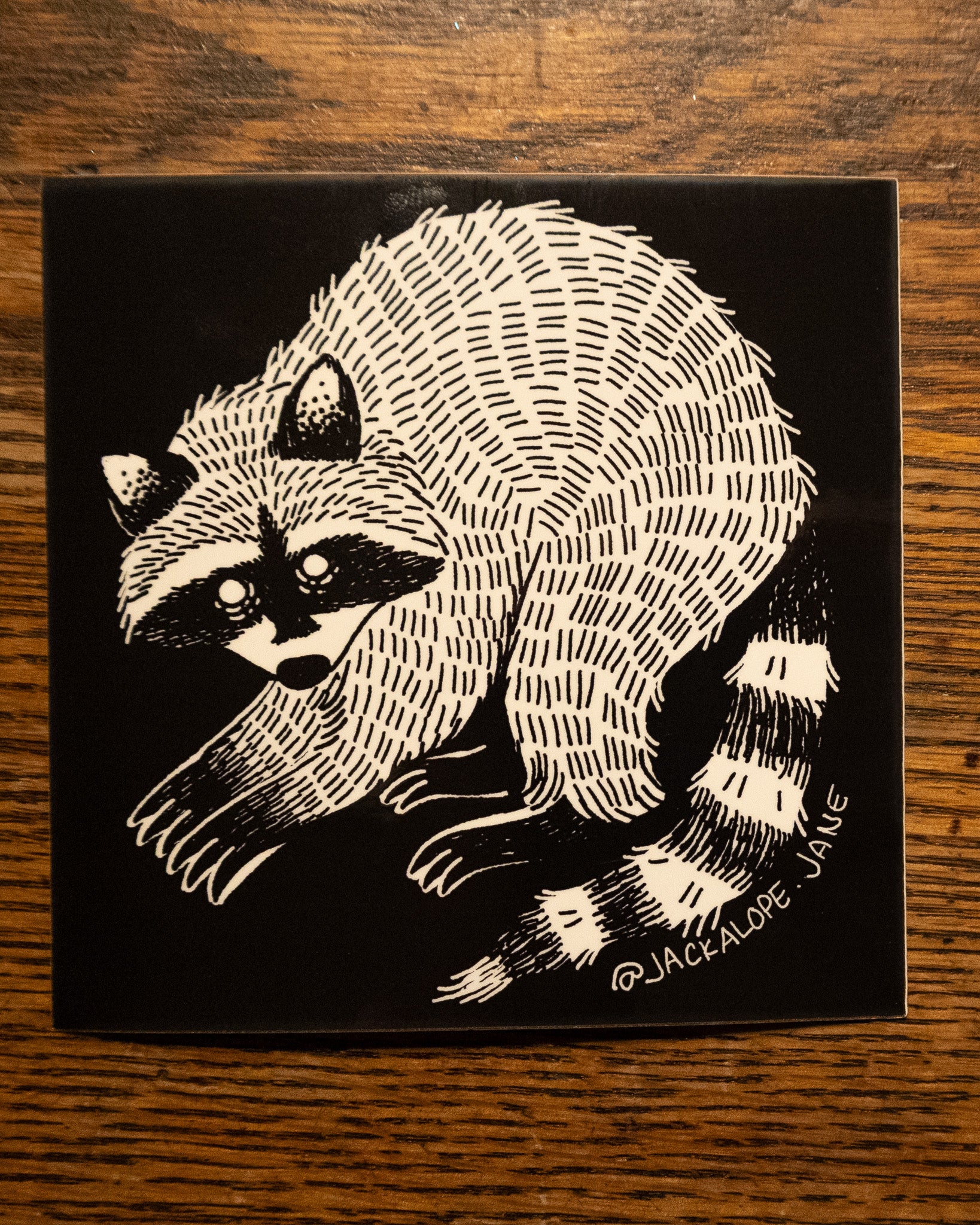 Raccoon Sticker – Jackalope Jane Varieties