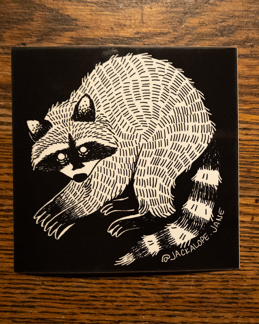 Raccoon Sticker