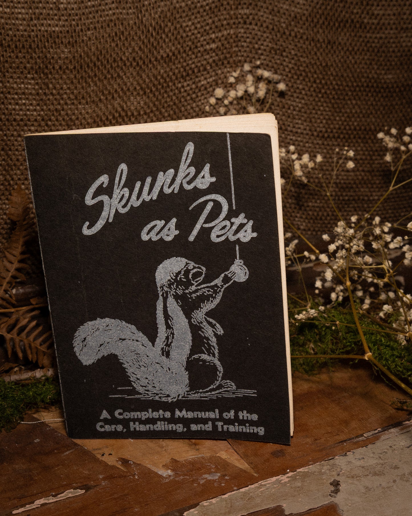 Skunks As Pets T-Shirt in Pitch Black