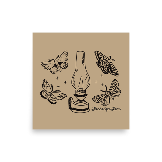 Lantern Moth Print