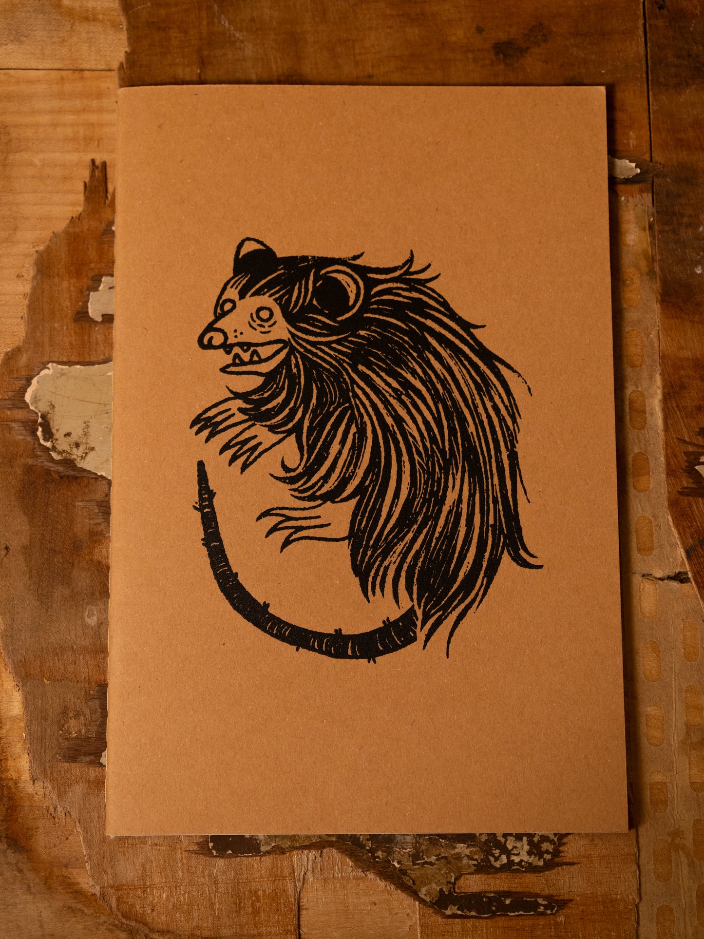 Opossum Journal